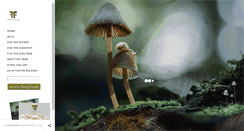 Desktop Screenshot of fantasticfungi.com