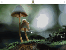 Tablet Screenshot of fantasticfungi.com